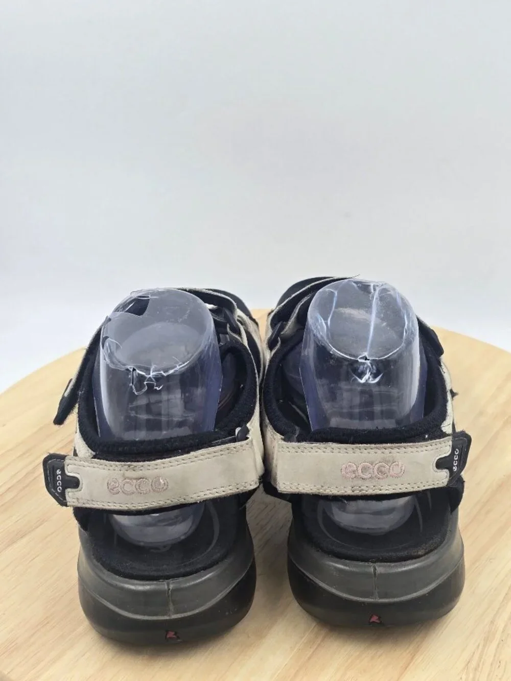 Ecco some outsides